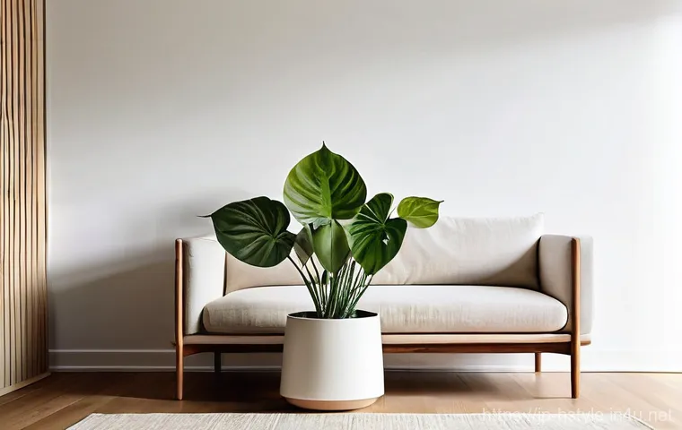 홈스타일링 프로젝트의 예산 관리 사례 - **Prompt:** A serene and inviting living room designed with a minimalist aesthetic. The walls are pa...
